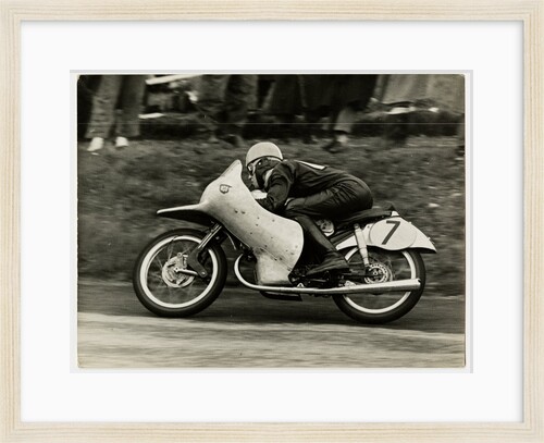 Rupert Hollans, riding NSU number 7, 1954 Lightweight TT (Tourist Trophy) by T.M. Badger