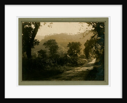 Untitled landscape by George Bellett Cowen
