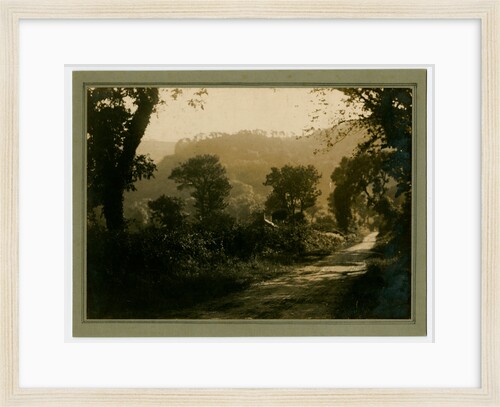 Untitled landscape by George Bellett Cowen