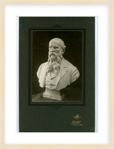 Bust of Daniel Kelly - schoolmaster by George Bellett Cowen