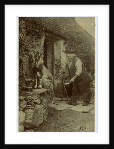 John Kinnish ('Old Pete') outside his cottage - with goat by Thomas Horsfell Midwood