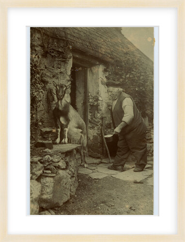 John Kinnish ('Old Pete') outside his cottage - with goat by Thomas Horsfell Midwood
