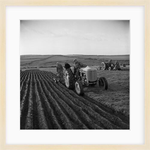 Cronk-y-Voddy ploughing by Manx Press Pictures