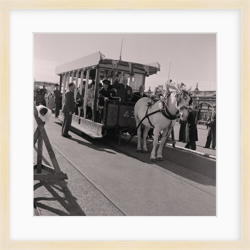 Horse tram season opens by Manx Press Pictures