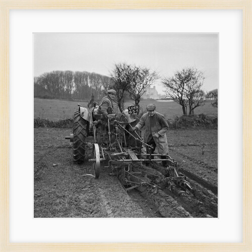 Arboury SYF (Young Farmers) Ploughing Match by Manx Press Pictures