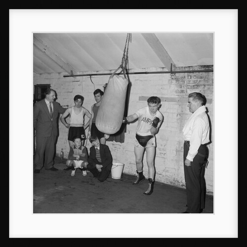 Malloy, boxing welterweight champion by Manx Press Pictures