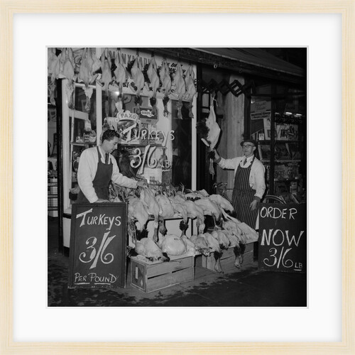 Curtis' Turkeys by Manx Press Pictures