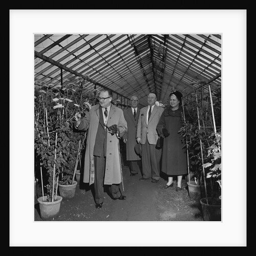 Lieutenant Governor Sir Ronald Herbert Garvey at Hotchkiss Nurseries by Manx Press Pictures