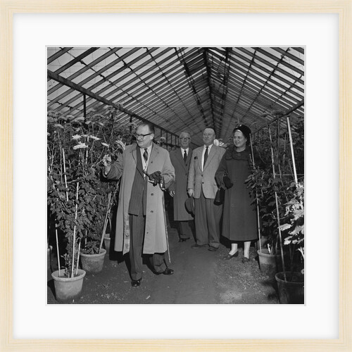 Lieutenant Governor Sir Ronald Herbert Garvey at Hotchkiss Nurseries by Manx Press Pictures