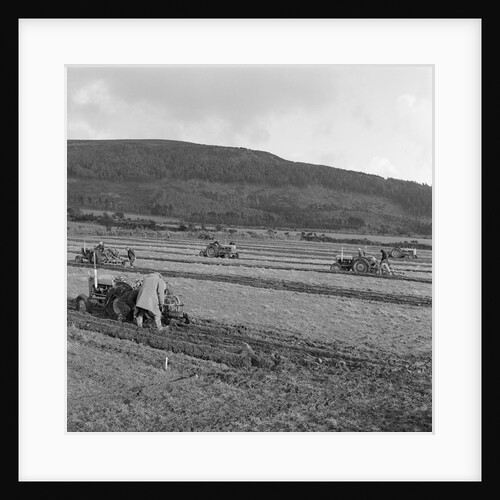 Marown ploughing match by Manx Press Pictures
