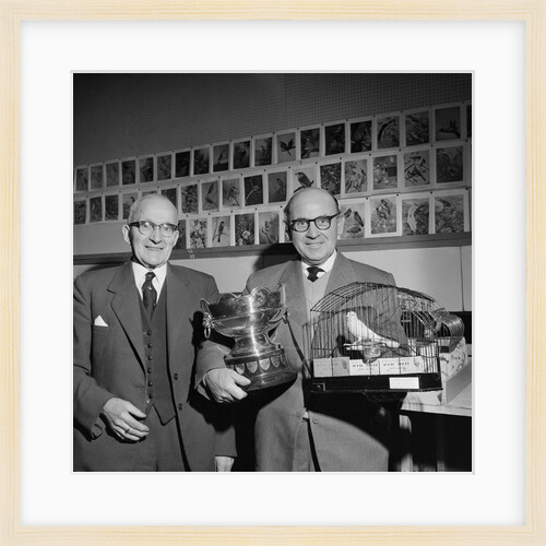 Foreign Bird Society exhibition, Feldmans by Manx Press Pictures