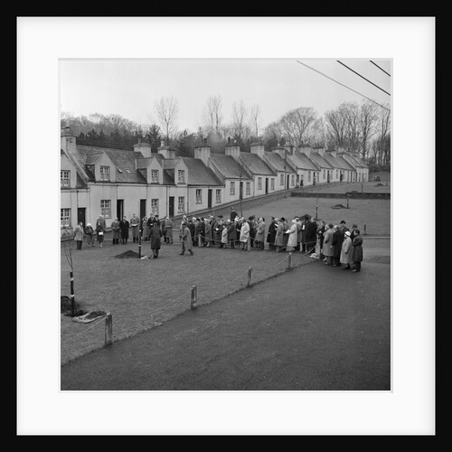 Lieutenant Governor Sir Ronald Herbert Garvey plants trees, Cronkbourne by Manx Press Pictures