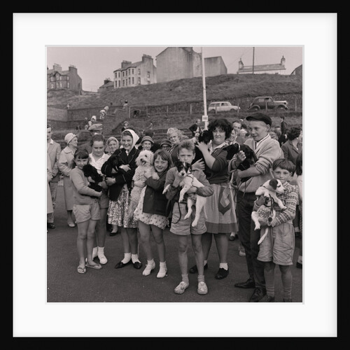 Pets parade, Peel by Manx Press Pictures