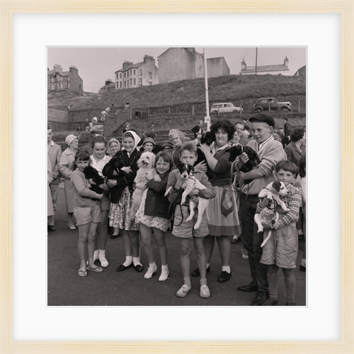 Pets parade, Peel by Manx Press Pictures