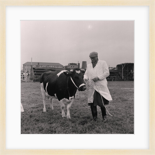 Southern Agricultural Show by Manx Press Pictures