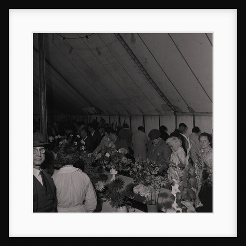 Horticultural Show, Villa Marina by Manx Press Pictures