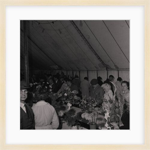 Horticultural Show, Villa Marina by Manx Press Pictures