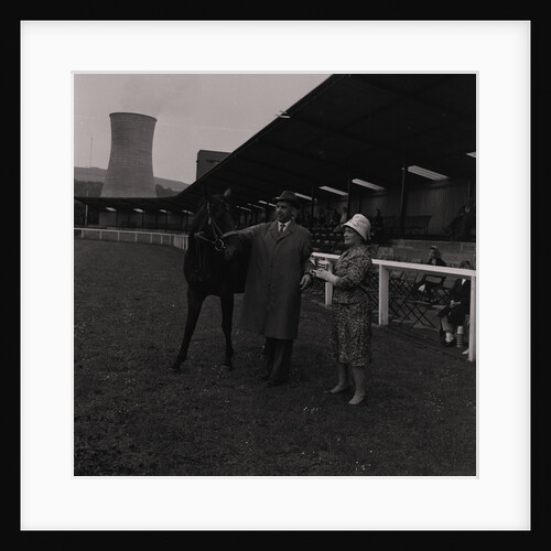 Light Horse Society Summer Show at Bowl by Manx Press Pictures