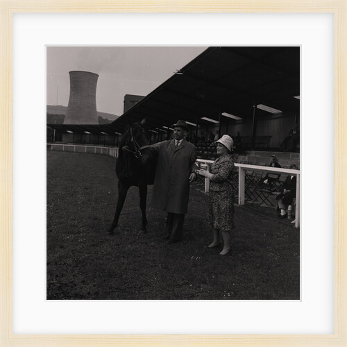 Light Horse Society Summer Show at Bowl by Manx Press Pictures