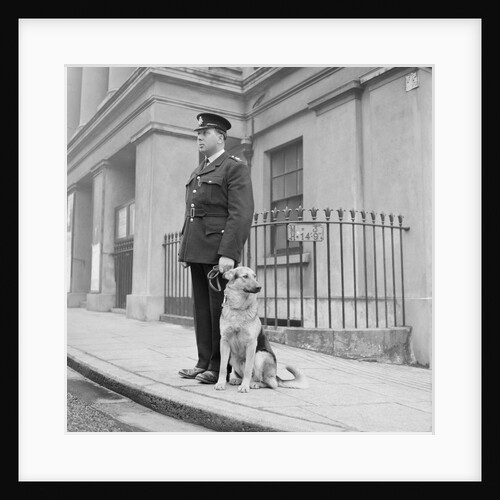 Policeman and Alsatian dog, Isle of Man by Manx Press Pictures