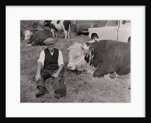 Southern Agricultural Show by Manx Press Pictures
