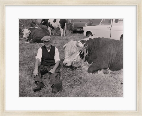 Southern Agricultural Show by Manx Press Pictures
