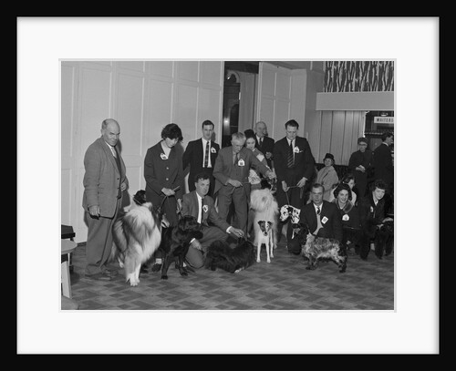 Dog Show, Villiers, Douglas by Manx Press Pictures