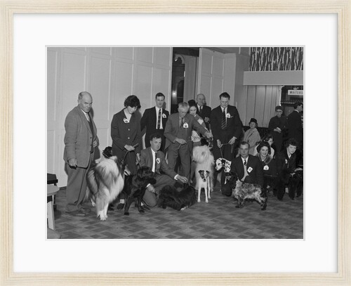 Dog Show, Villiers, Douglas by Manx Press Pictures