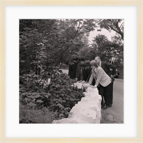 The Rolling Stones at Fairy Bridge by Manx Press Pictures