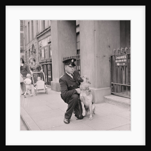 Police dog Rex with Henry Corlett by Manx Press Pictures
