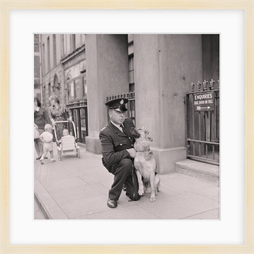 Police dog Rex with Henry Corlett by Manx Press Pictures
