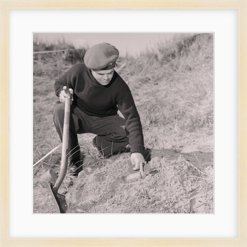 Bomb hunt in Andreas by Manx Press Pictures