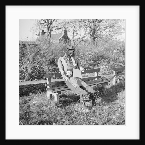 Guy Fawkes dummy, Colby by Manx Press Pictures