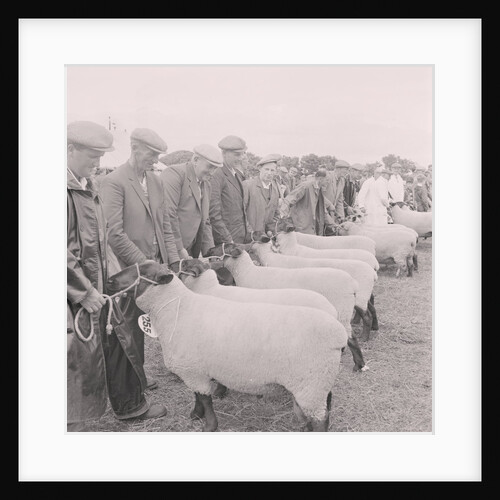 Southern Agricultural Show by Manx Press Pictures