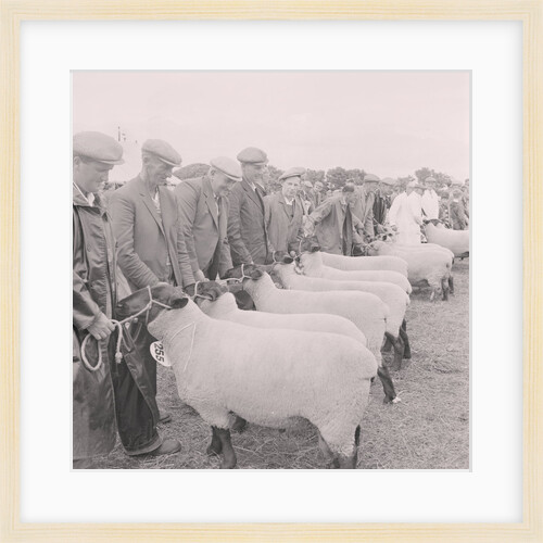 Southern Agricultural Show by Manx Press Pictures