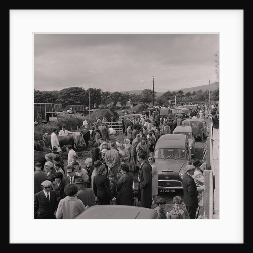 Southern Agricultural Show by Manx Press Pictures