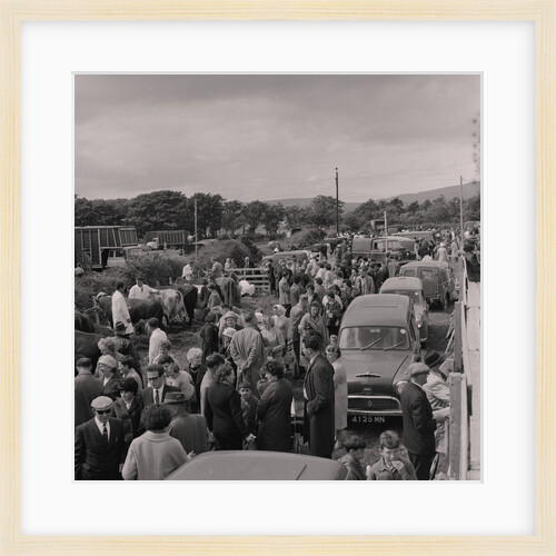 Southern Agricultural Show by Manx Press Pictures