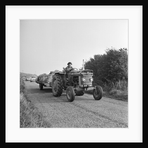 Harvest, Isle of Man by Manx Press Pictures