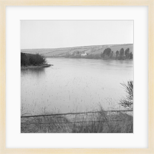 Frozen landscape, Isle of Man by Manx Press Pictures