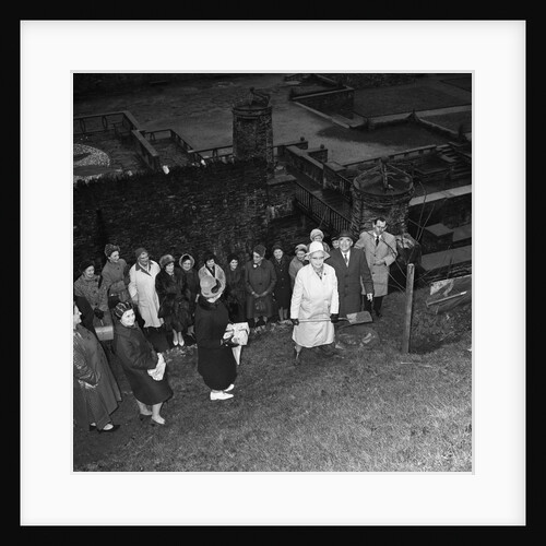 Women's Institute tree planting, Laxey by Manx Press Pictures
