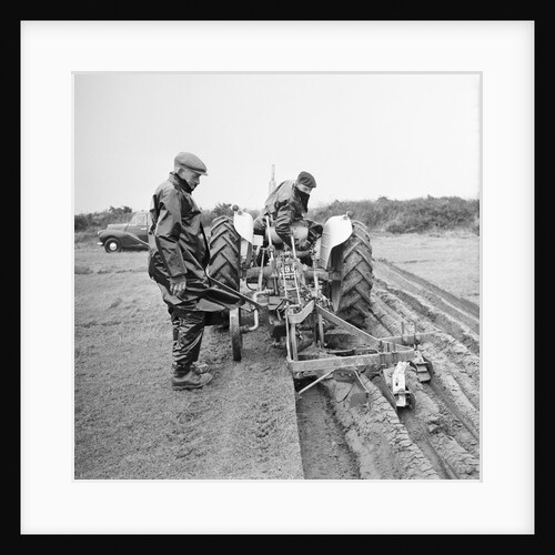 Ploughing match at Bride, Ballanhard by Manx Press Pictures