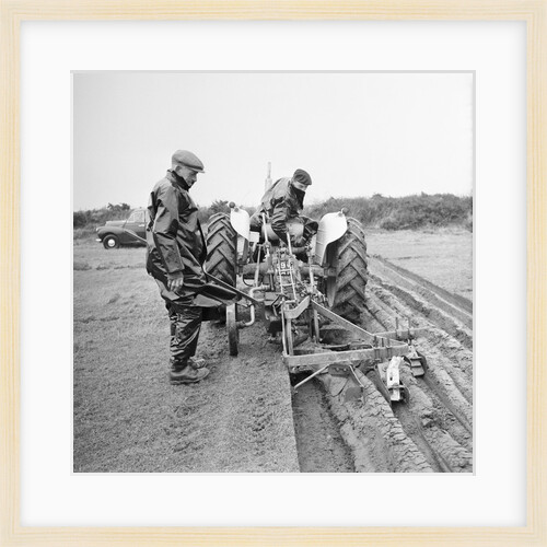 Ploughing match at Bride, Ballanhard by Manx Press Pictures