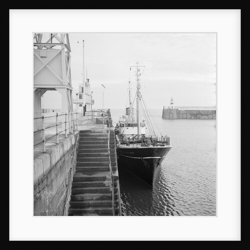 'Ship bringing in live fish', Isle of Man by Manx Press Pictures