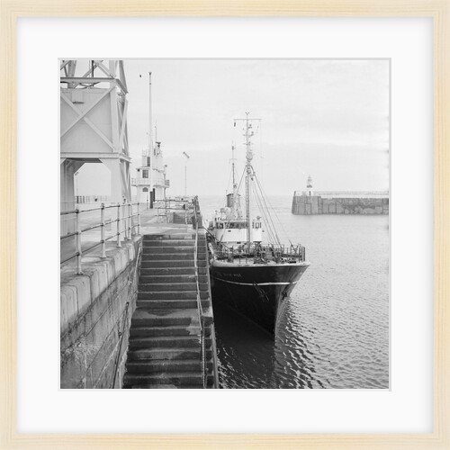 'Ship bringing in live fish', Isle of Man by Manx Press Pictures