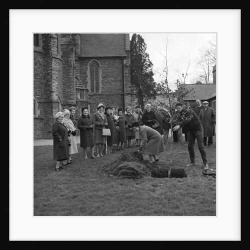 Women's Institute tree planting, Braddan by Manx Press Pictures