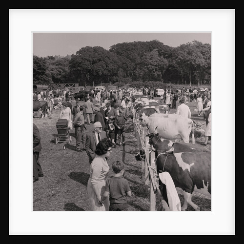 Royal Agricultural Show by Manx Press Pictures