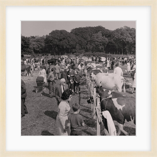 Royal Agricultural Show by Manx Press Pictures