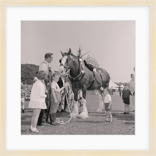Royal Agricultural Show by Manx Press Pictures
