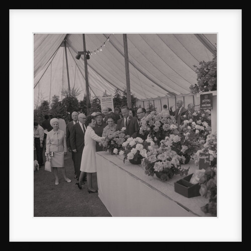 Rose Show, Villa Marina by Manx Press Pictures