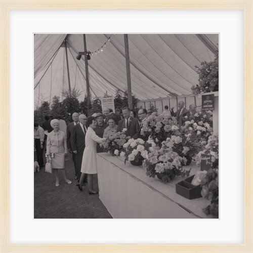 Rose Show, Villa Marina by Manx Press Pictures